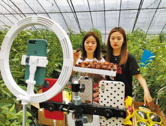威客电竞专家：我国育种科技正在飞速发展；三全食品3亿元成立食品子公司(图1)