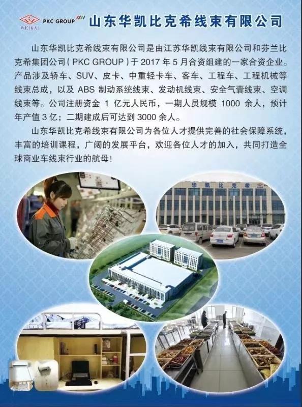 威客电竞「转发通知」潍坊“网上招聘会”紧急上线！数千个岗位信息发布…(持续更新)(图11)