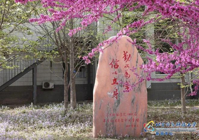 这所高校超80%毕业生在京就业近半威客电竞数进入信息科技行业(图7)
