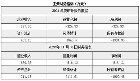 软件和信息技术威客电竞服务天津软件和信息技术服务公司30%股权转让31BJ-0437(图2)
