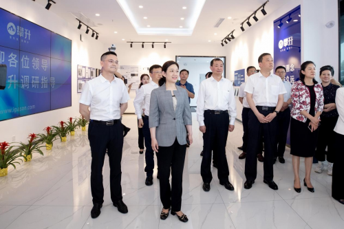 攀升科技新工厂投产助力黄陂区信息技术产业链建园强链威客电竞(图4)