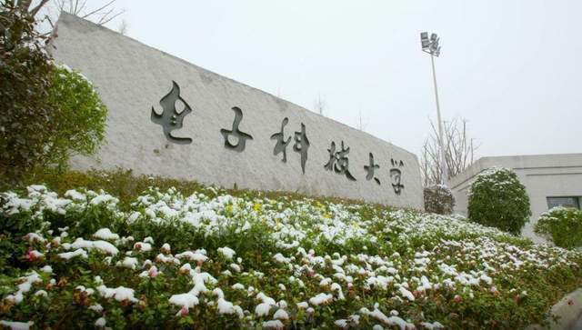 科技类大学2023年实力排名：141所大学上榜电子科威客电竞技排第3(图3)