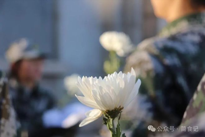 威客电竞“坟前不供四果祭后不去三地”是啥意思？清明上坟还这么讲究(图8)