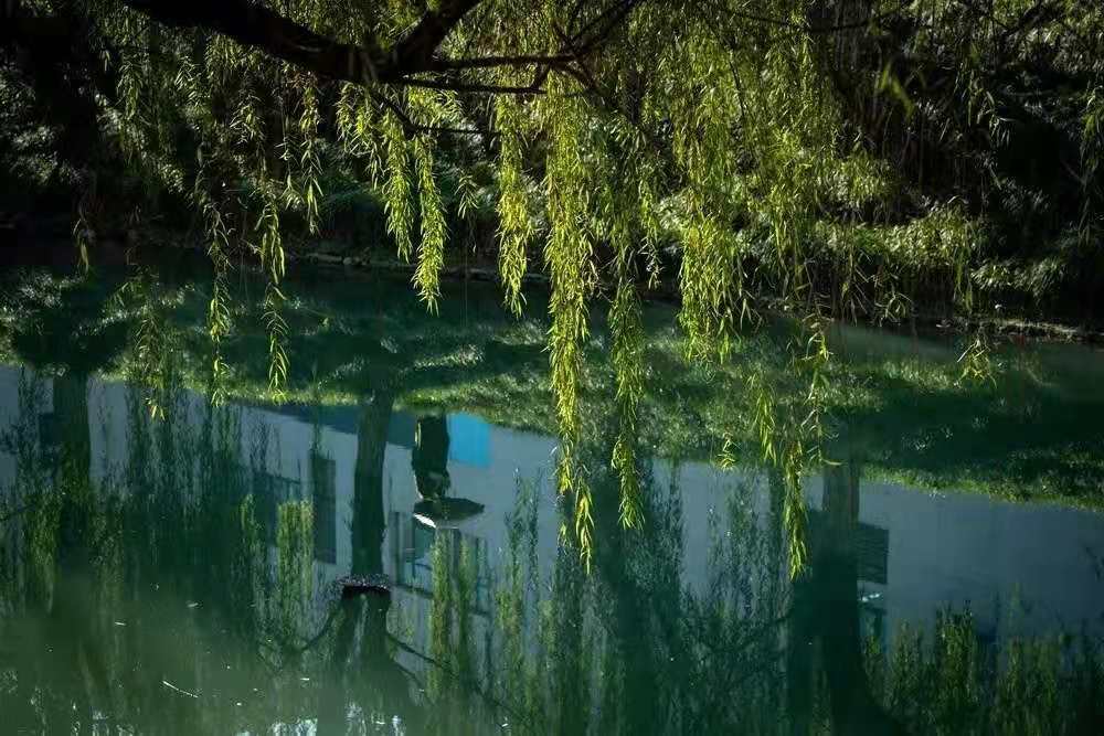 威客电竞求证：电子科技大学就业怎么样？国家特设专业就业无忧(图2)